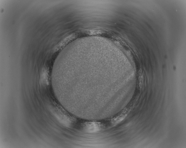 X0000087640316200705241246