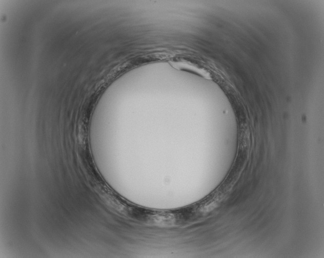 X0000087640317200705241246