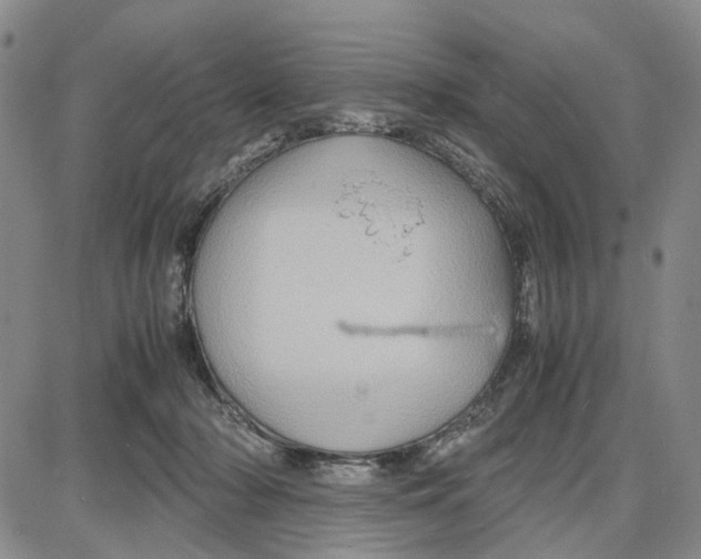 X0000087640318200705241246