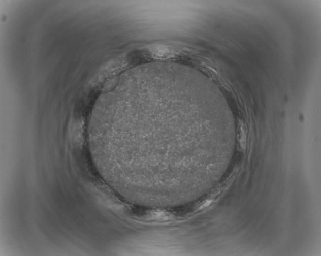 X0000087640319200705241246