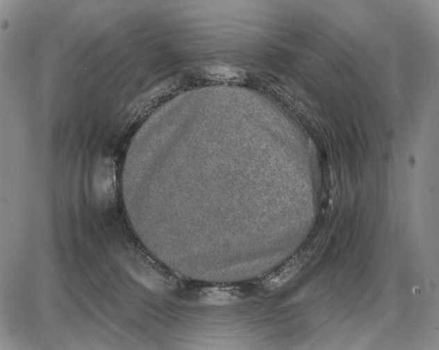 X0000087640320200705241246