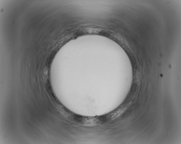 X0000087640321200705241246