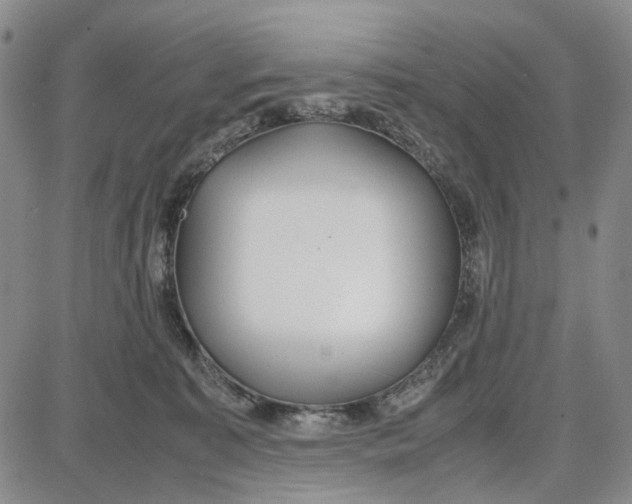 X0000087640323200705241246