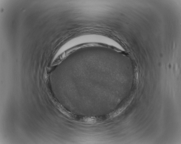 X0000087640325200705241246