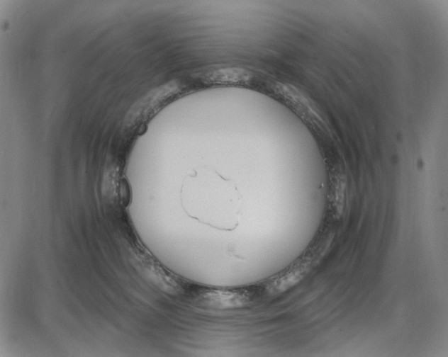 X0000087640326200705241246