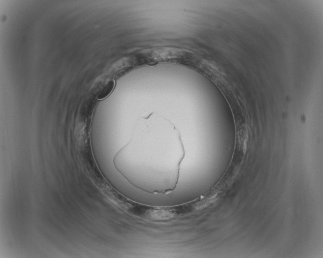 X0000087640327200705241246