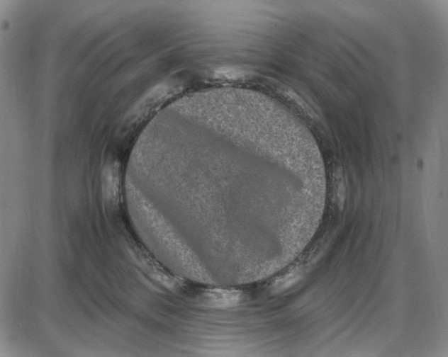 X0000087640328200705241246