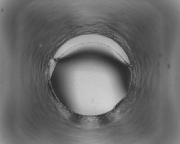 X0000087640329200705241246