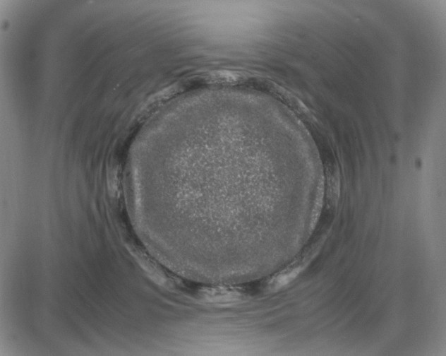 X0000087640331200705241246