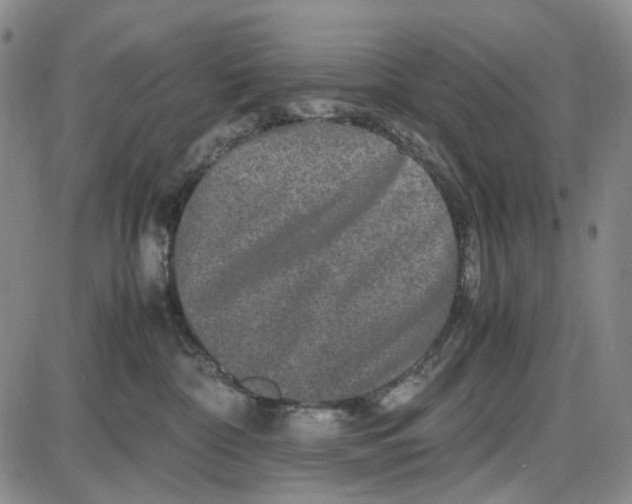 X0000087640332200705241246