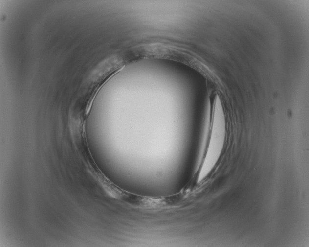 X0000087640333200705241246