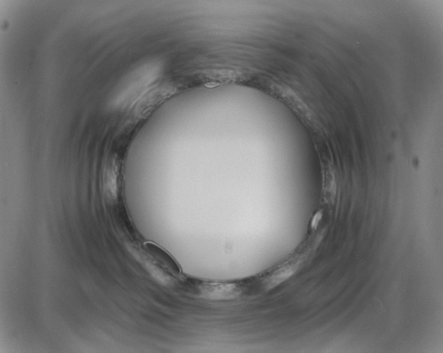 X0000087640334200705241246