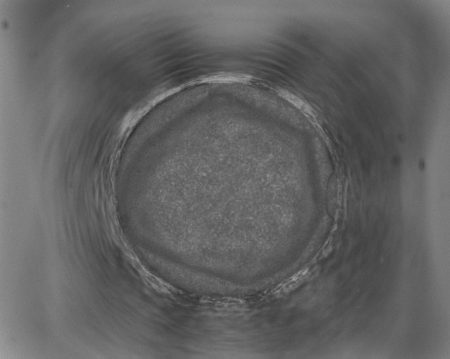 X0000087640337200705241245