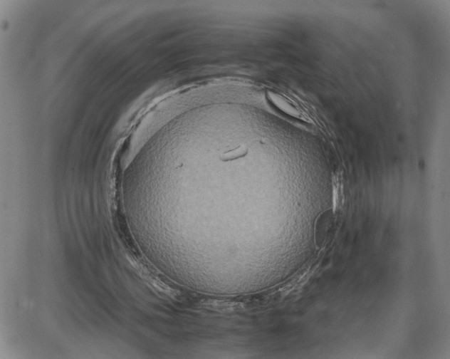 X0000087640339200705241245