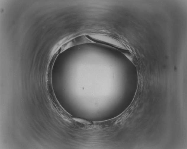 X0000087640340200705241245