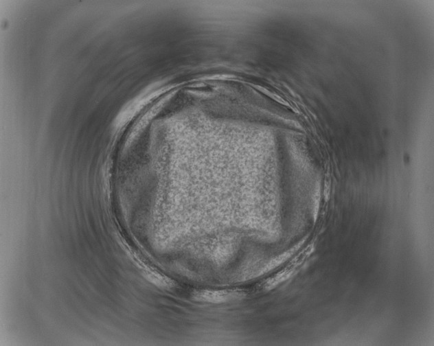 X0000087640341200705241245