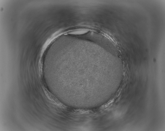 X0000087640343200705241245