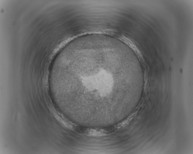 X0000087640346200705241245