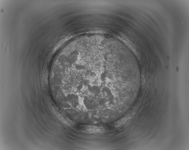 X0000087640347200705241245