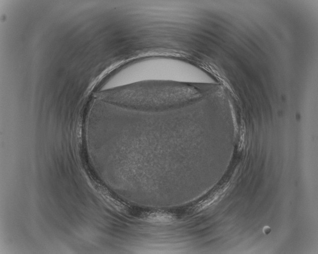 X0000087640348200705241245