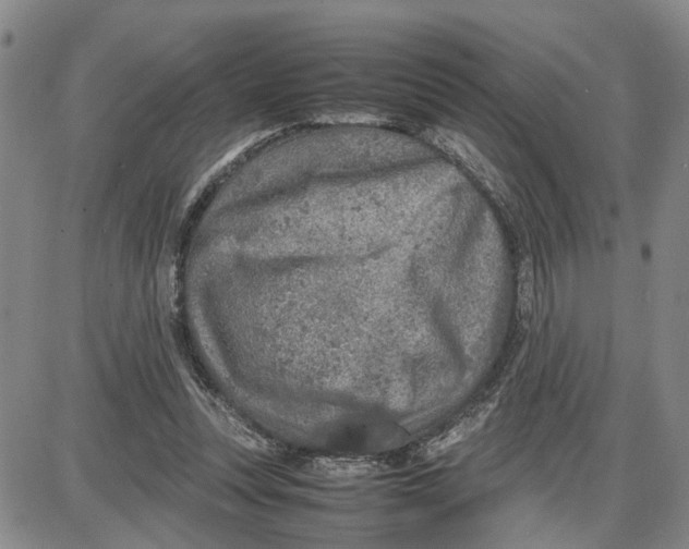 X0000087640351200705241245