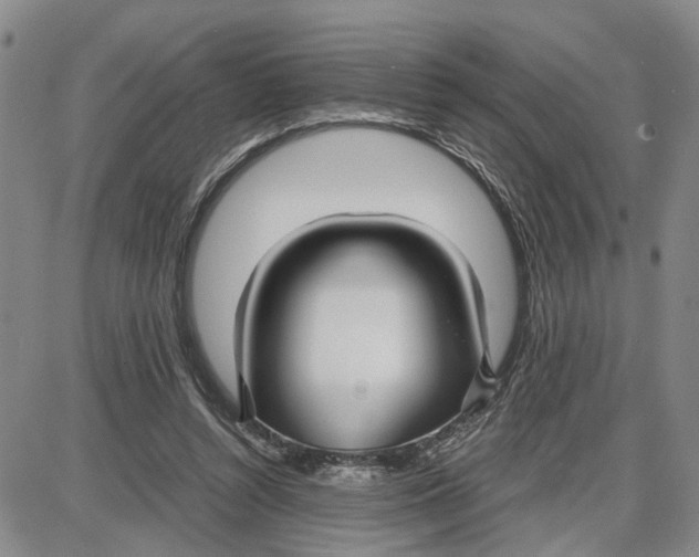 X0000087640352200705241245