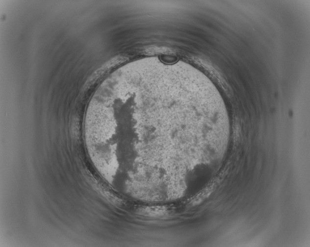 X0000087640353200705241245