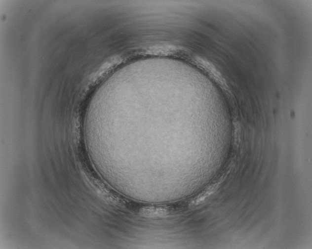 X0000087640354200705241245