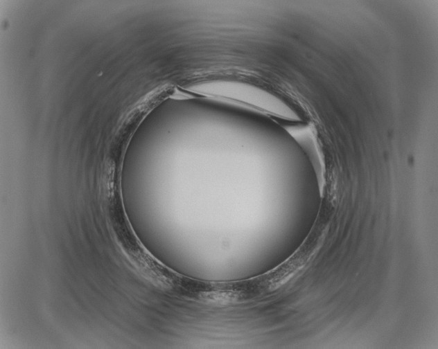 X0000087640356200705241245