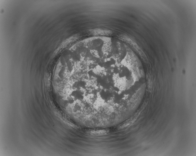 X0000087640357200705241245