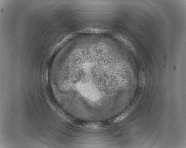 X0000087640358200705241245