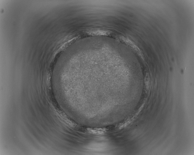 X0000087640359200705241245