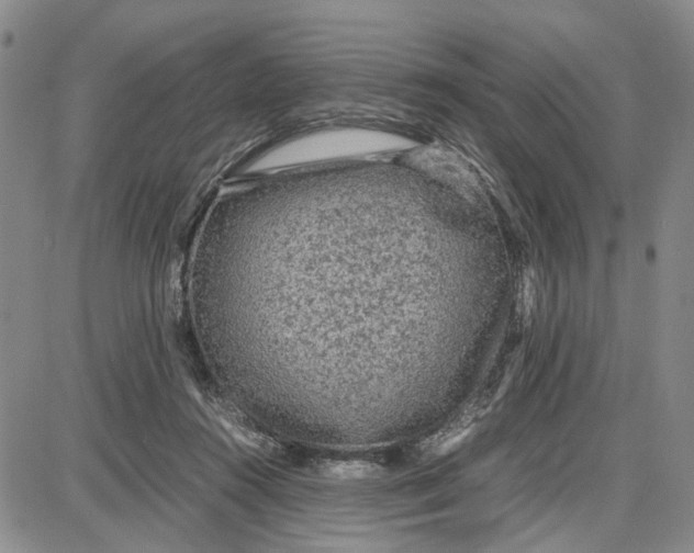 X0000087640360200705241245