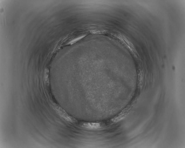 X0000087640361200705241245