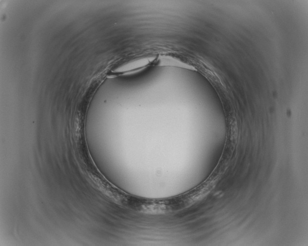 X0000087640362200705241245