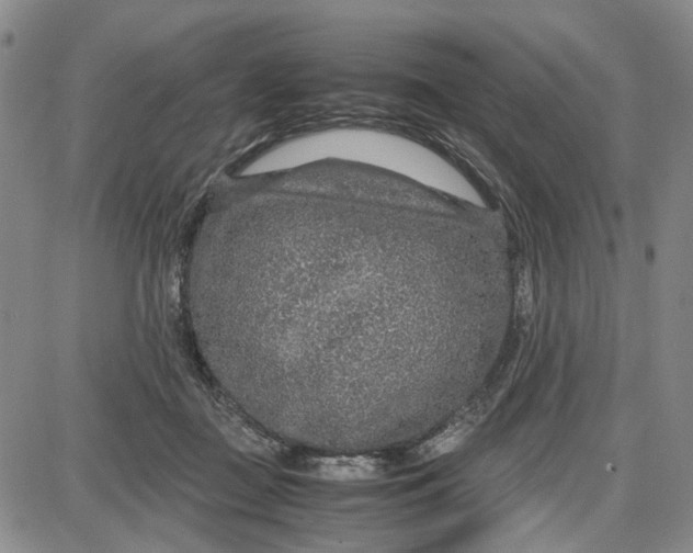 X0000087640363200705241245