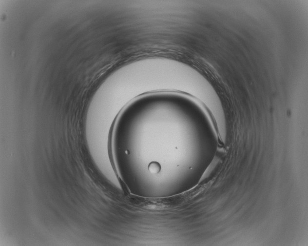 X0000087640364200705241245