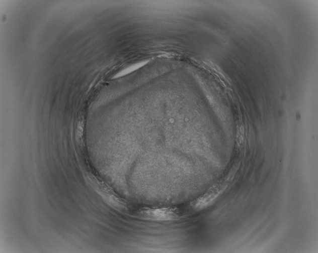 X0000087640365200705241245