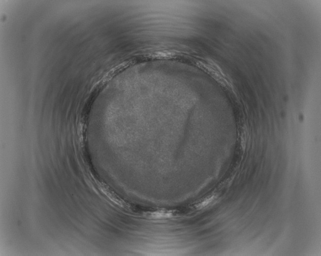 X0000087640366200705241245