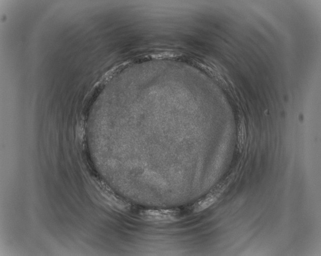 X0000087640367200705241245