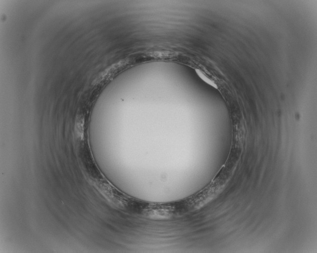 X0000087640368200705241245