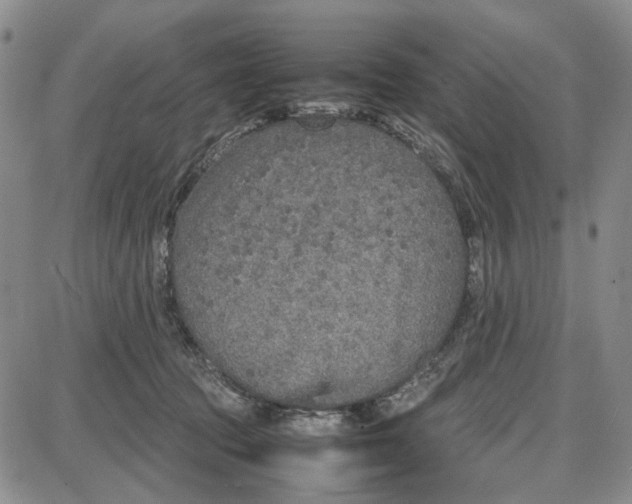 X0000087640369200705241246