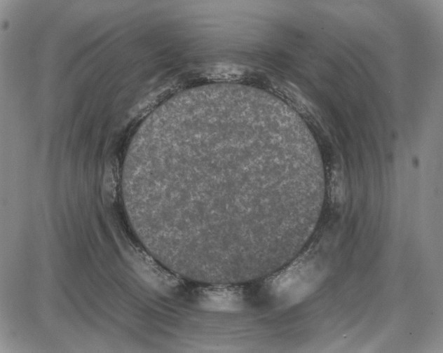 X0000087640370200705241246