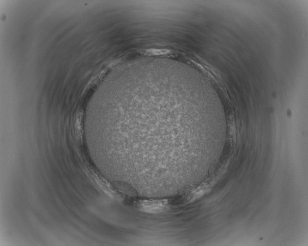 X0000087640373200705241246