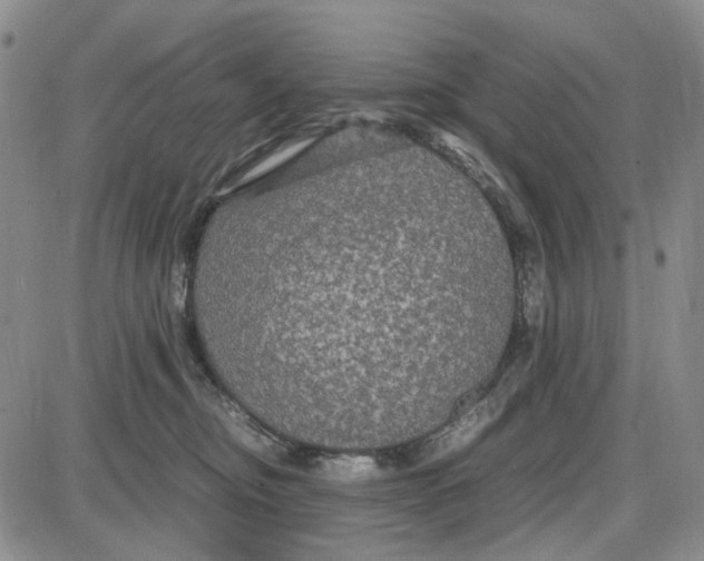 X0000087640374200705241246