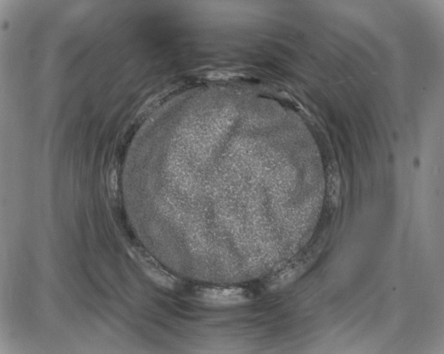 X0000087640375200705241246