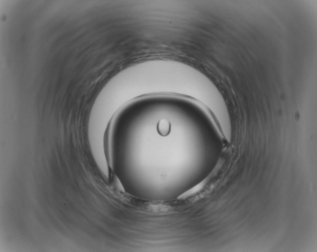 X0000087640376200705241246