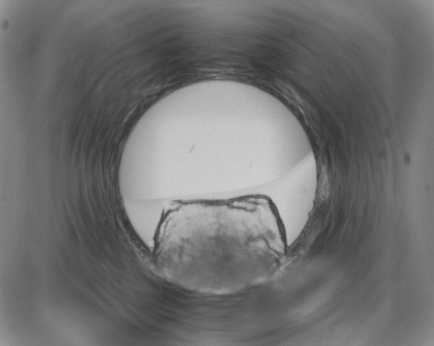 X0000087640377200705241246