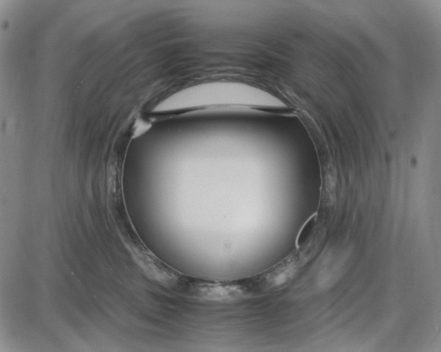 X0000087640379200705241246