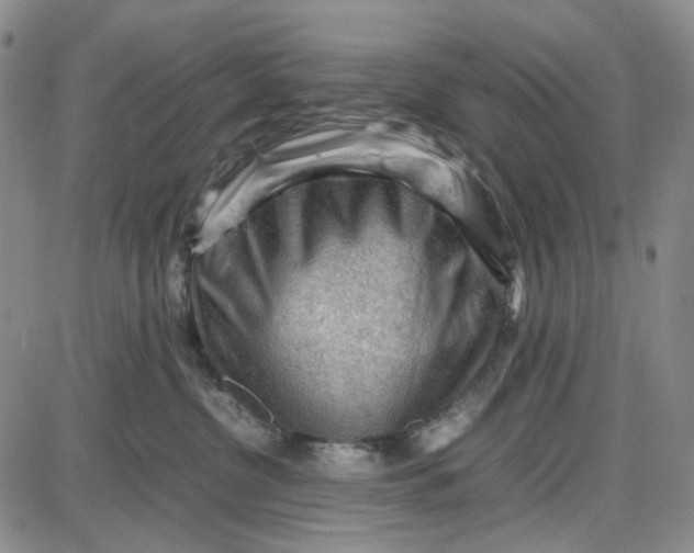 X0000087640380200705241246